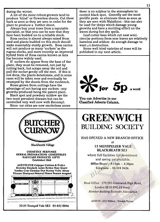 BLG 17_11_78_Page_11