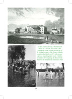 2012 Annual Report_Page_14