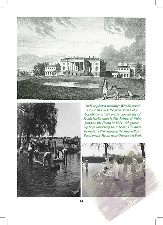 2012 Annual Report_Page_14