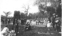 005694 FollyPond