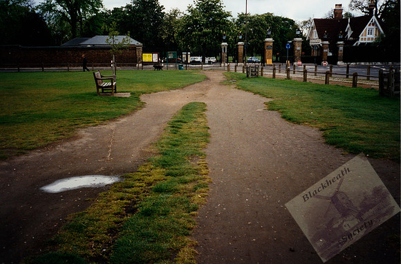 003267 DonkeyWalk