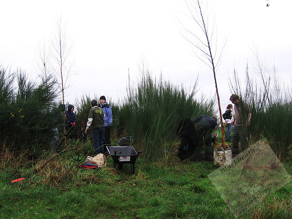 Whitefield Mount Planting