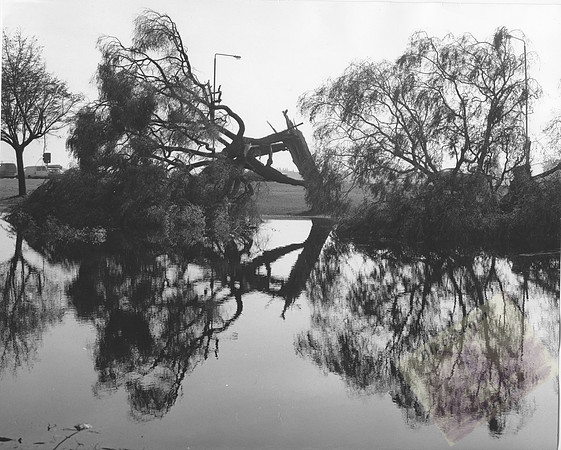 005837 Folly Pond, 1987