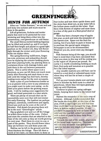 BLG 6_10_78_Page_14
