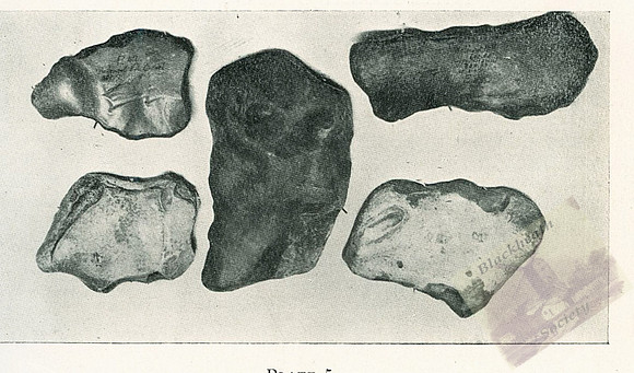 Plate 5-2
