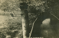 010267 Love Lane