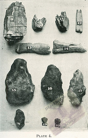 Plate 4-2