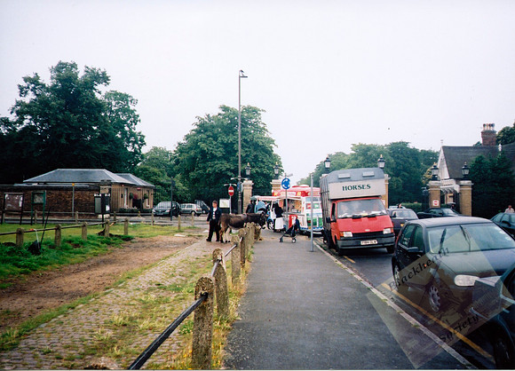 003070 Donkeys