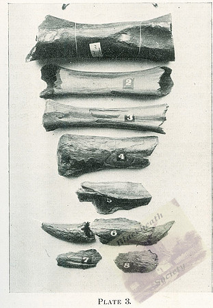 Plate 3-2
