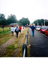 00016. Donkeys & Other activities