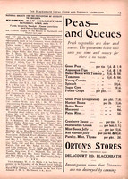 BLG 6_4_1929_Page_13