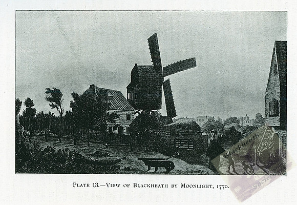 Plate 13-2
