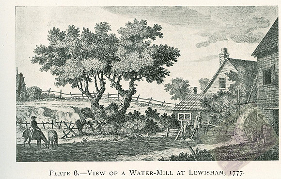 Plate 6-2