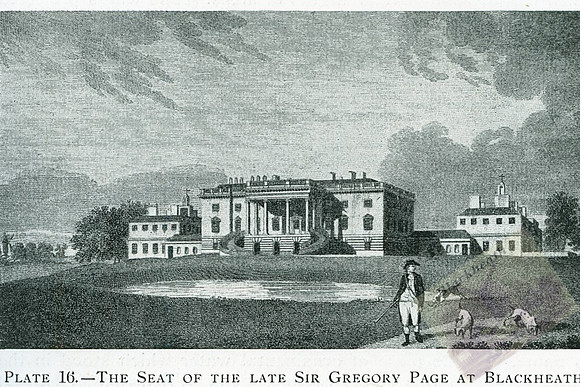 Plate 16-2