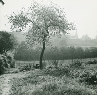 003468 El Pl 1 field at rear
