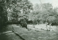 003465 El Pl 1 rear garden