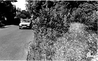 002885 General View