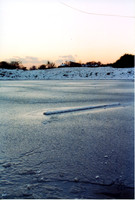 00021. Ponds - Modern