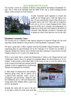 2011 Annual Report_Page_12