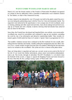 2012 Annual Report_Page_16