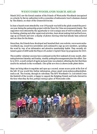 2012 Annual Report_Page_16