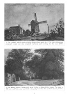 1994-95 Annual Report_Page_19