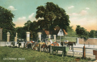008505 Gate & Donkeys