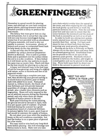 BLG 17_11_78_Page_10