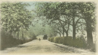 00084. Manor Way, Manorbrook, Meadowcourt Road