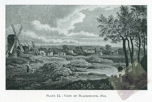 Plate 15-2