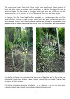 2013 Annual Report_Page_17
