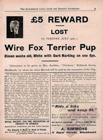 BLG 1923 11_8_1923_Page_09