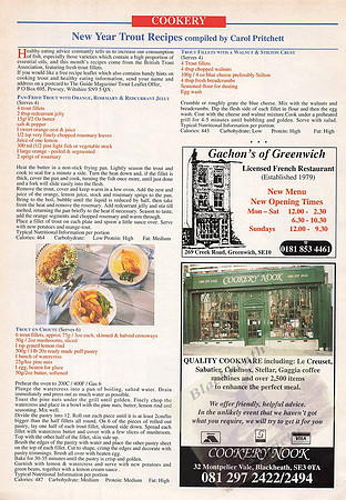 The Guide Jan 1995_Page_08