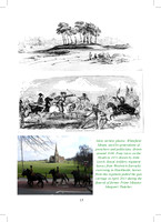 2012 Annual Report_Page_15
