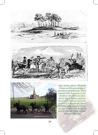 2012 Annual Report_Page_15