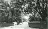 00080. Brooklands Park
