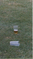 001339 Mont Row P of W ph glasses