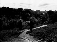 008518 HV, view